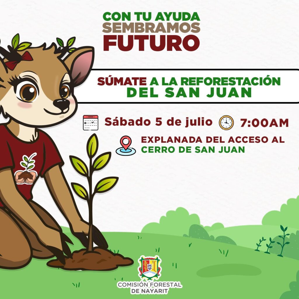 Invita Gobierno del Estado a reforestar el cerro de San Juan
