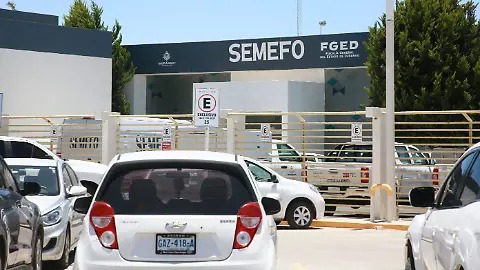 Cadáver era devorado por la fauna carroñera