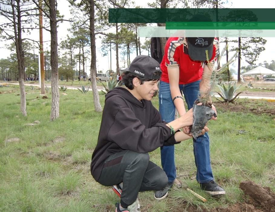 Impulsan reforestación 2025 en El Salto