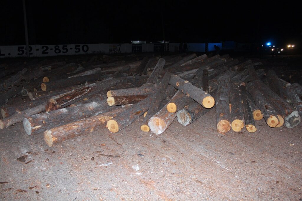 Cargaba un camión con trozos de madera y lo aplastaron
