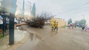 Ante tormenta de granizo Bombero y Policías entran en acción