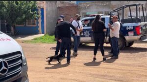 Mascota avisa con rasguños y ladridos de hombre muerto