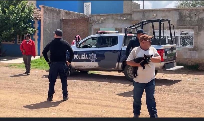 Mascota avisa con rasguños y ladridos de hombre muerto