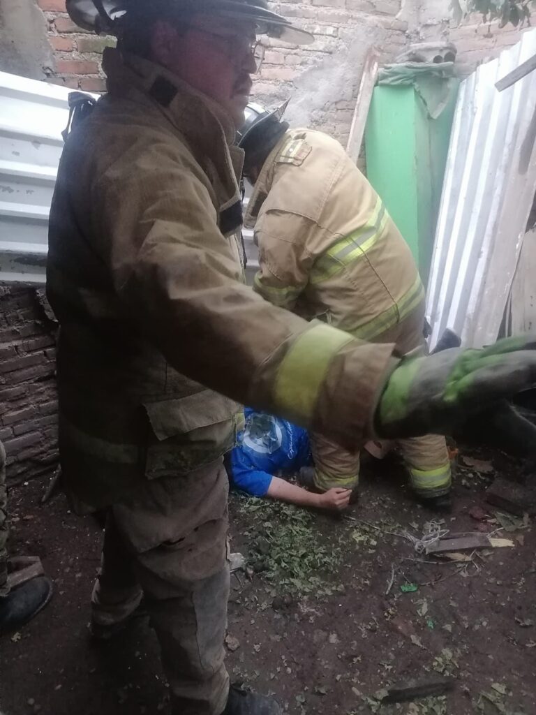 Cortaba higos y cayó hasta el suelo