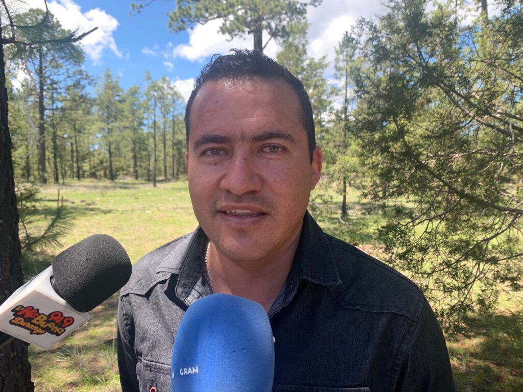 Disponibles 1.5 millones de plantas para reforestación