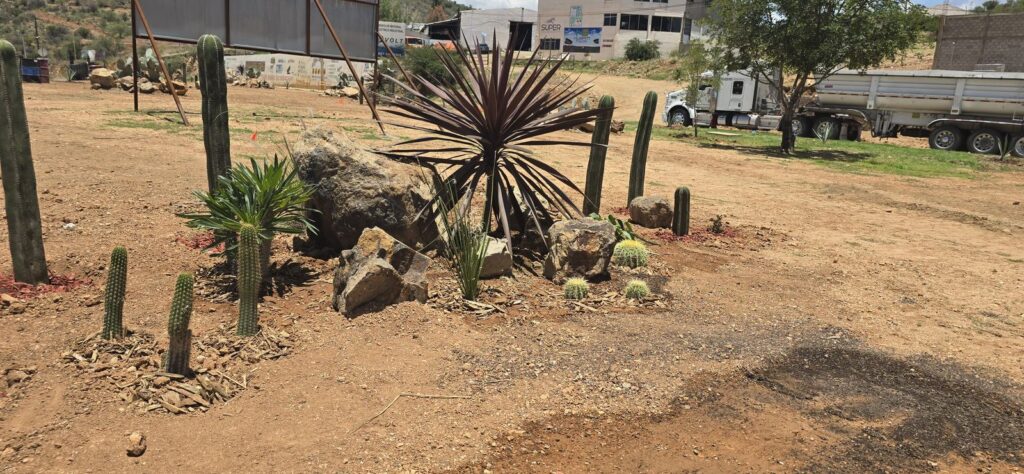 Parral impulsa la sustentabilidad con nuevo jardín xerófilo en la Puerta del Tiempo