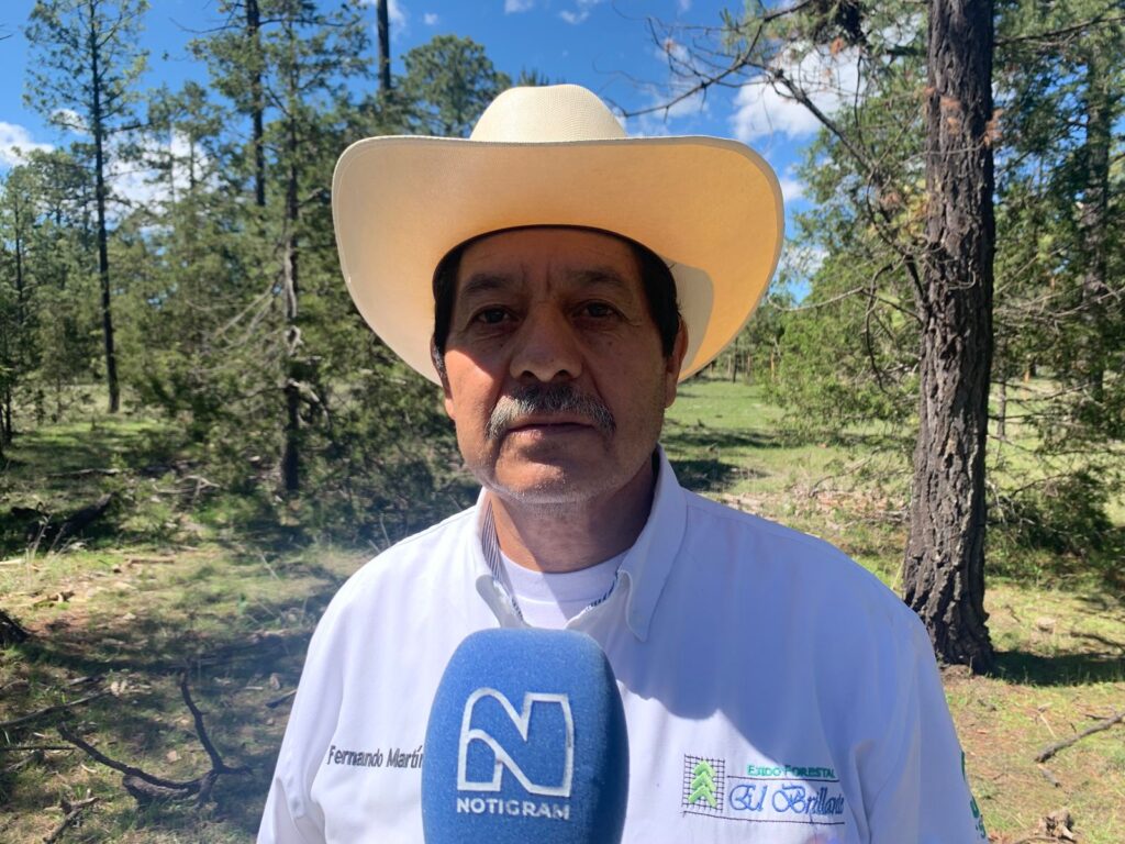 Puentecillas reporta aumento por Feria del Hongo