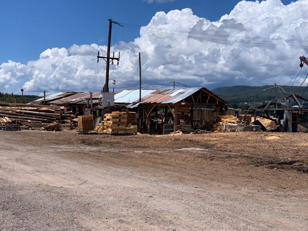 Industria maderera atraviesa su peor temporada anual