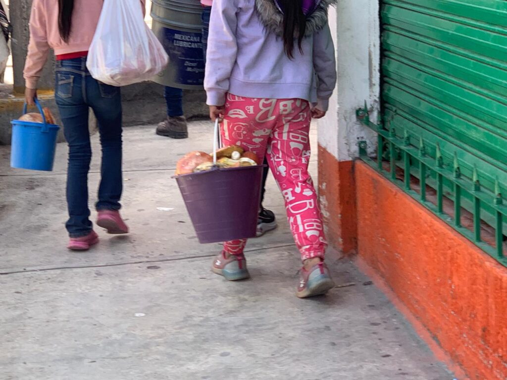 Advierten por intoxicaciones tras compra de hongos silvestres