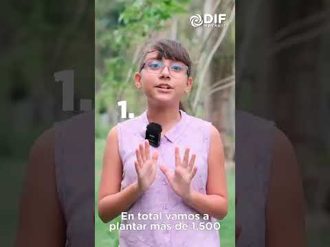 Reforestación en la Loma: planta y adopta un árbol