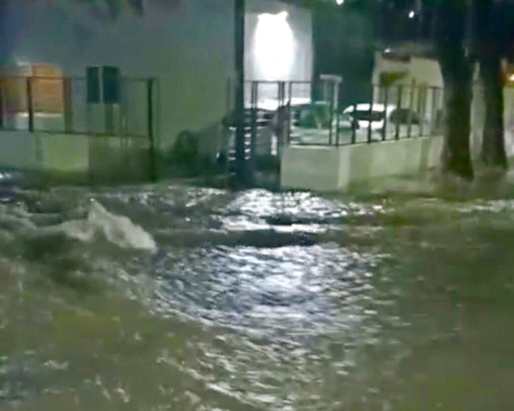 Tormenta causa inundaciones, árboles caídos y cortes de energía en el AMG