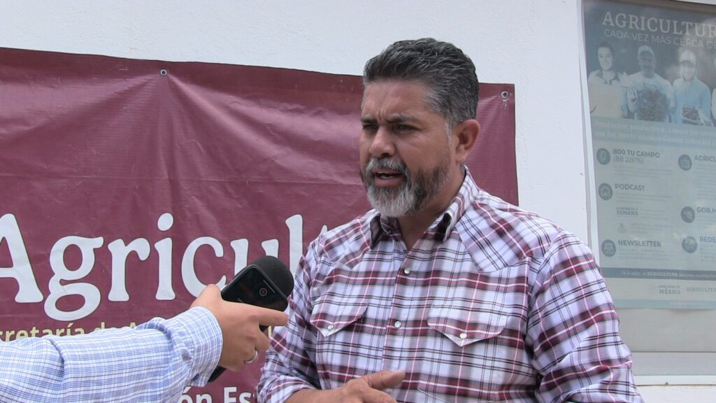 Continúa el programa «Alimentación para el Bienestar» y se impulsa nueva estrategia de comercialización de frijol en la región