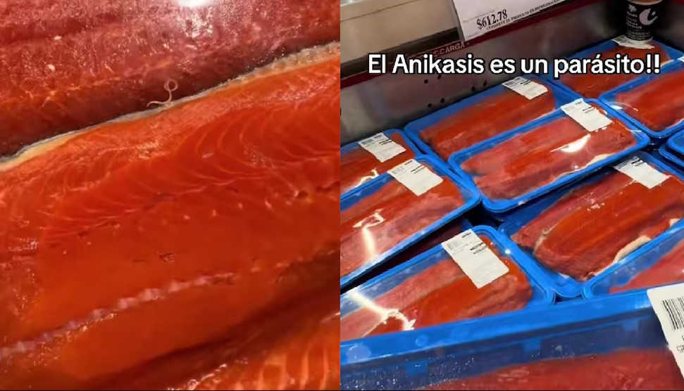 Encuentran parásito vivo en salmón de supermercado