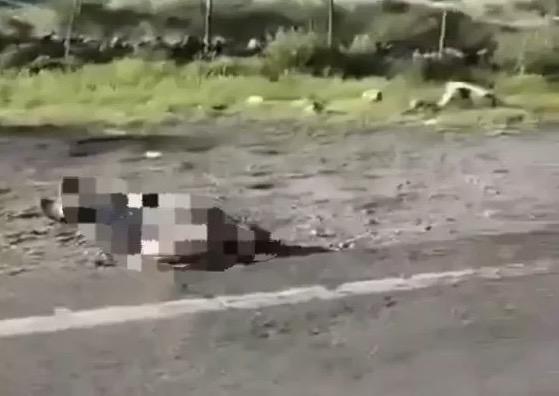 Hallan a hombre ejecutado en la carretera Parral-El Vergel