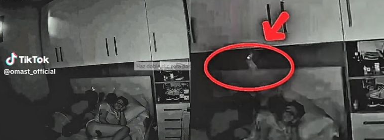 VIDEO: Muñeco Labubu cobra vida y  “ataca” a un niño mientras dormía