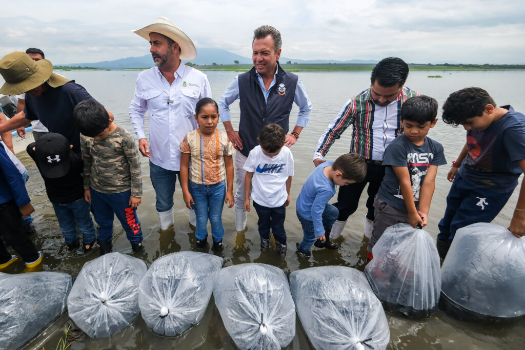 Siembran 300 mil crías de tilapia en la Presa La Vega