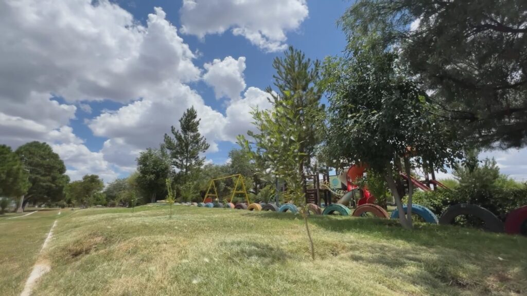 A un año de la donación, fresnos crecen con fuerza en el Parque Ecológico de Ignacio Allende