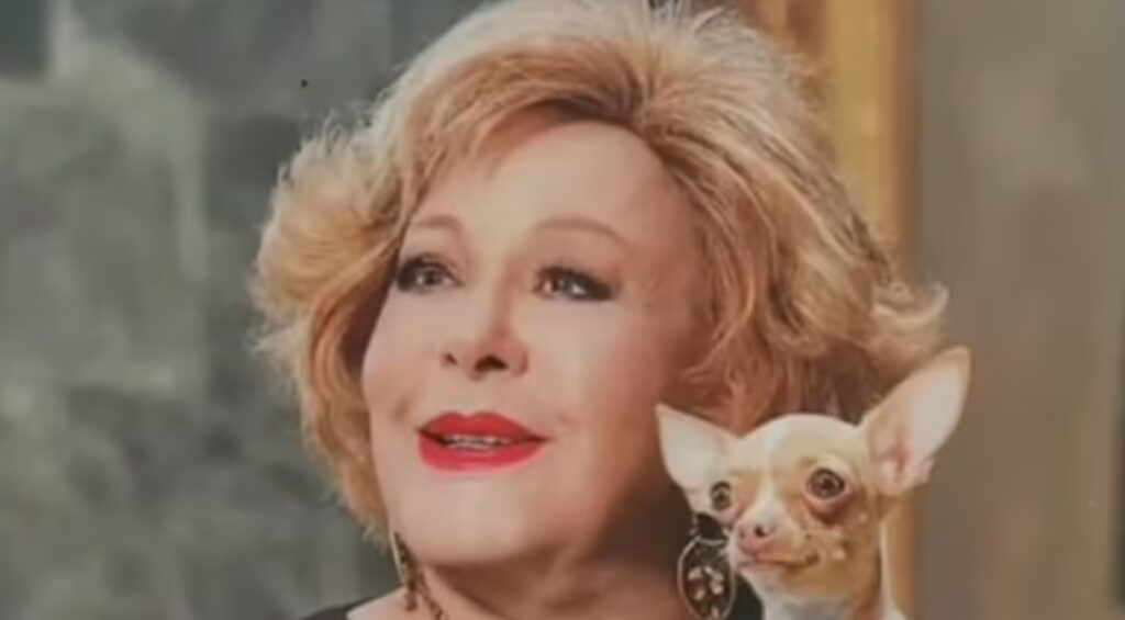 Cosita, la perrita de Silvia Pinal, casi pierde la vida por tristeza tras la muerte de su dueña