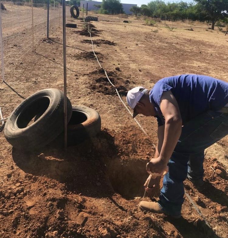 Impulsan vecinos de Ignacio Ramírez acciones de reforestación y creación de espacios ecológicos