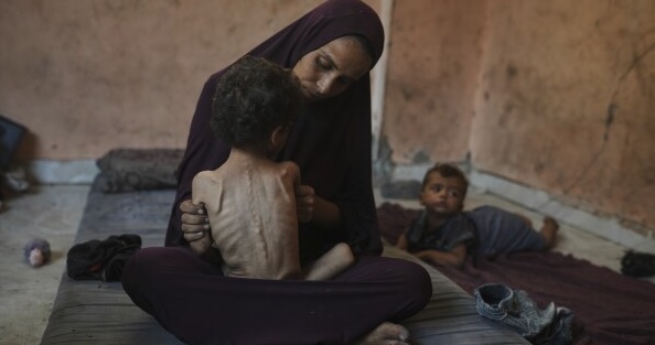 Crisis en Gaza: Más de 200 muertes por desnutrición, casi la mitad niños, en medio de bloqueo y hambruna