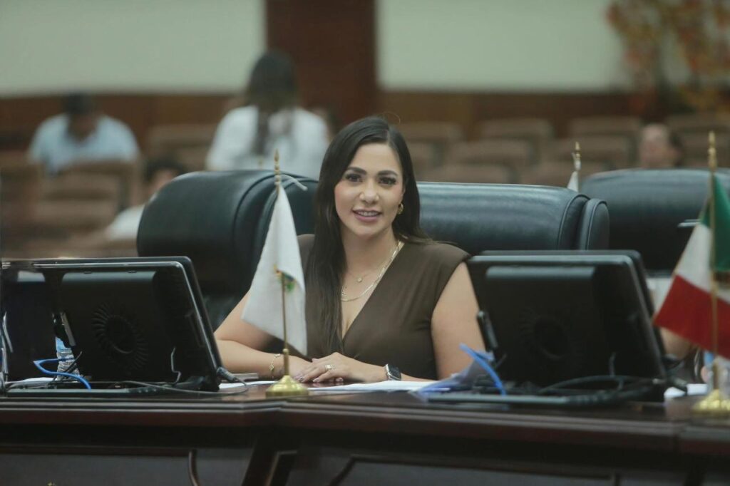 Centralizar el poder pone en riesgo la democracia: Dany Soto (PRI)