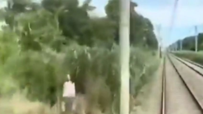 VIDEO: Cámara del Tren Roca capta una figura fantasmal
