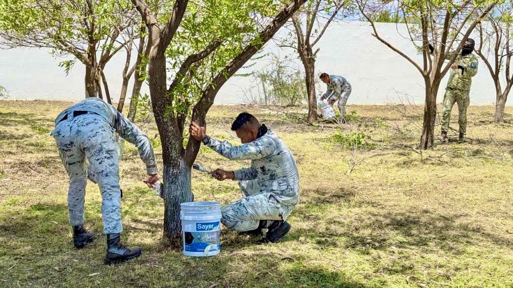 Mesa de Paz y Seguridad, SEDENA y Gobierno Municipal suman esfuerzos para mejorar espacios públicos
