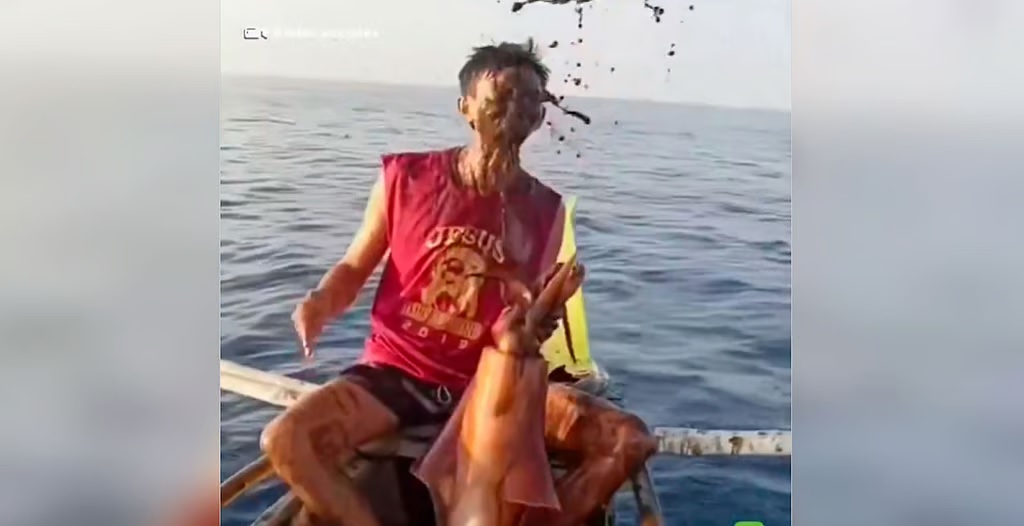 VIDEO: Calamar gigante contra pescador: la inesperada “batalla de tinta”
