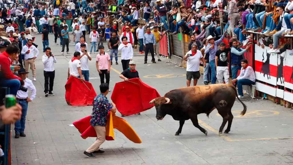 Huamantlada 2025 deja 8 heridos, uno de ellos en estado grave