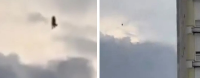 VIDEO: Captan figura humanoide levitando y desata ola de teorías