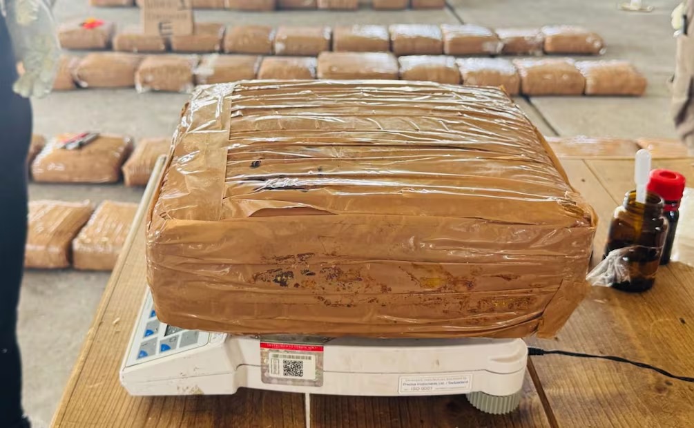 Marina asegura 330 kilos de marihuana en puerto de Veracruz