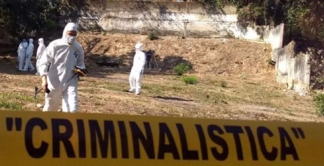 Hijo descubre a su madre muerta y sus propios perros se alimentaron del cuerpo