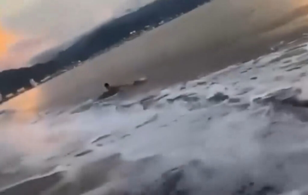 Cocodrilo intenta atacar a bañista en playa de Puerto Vallarta