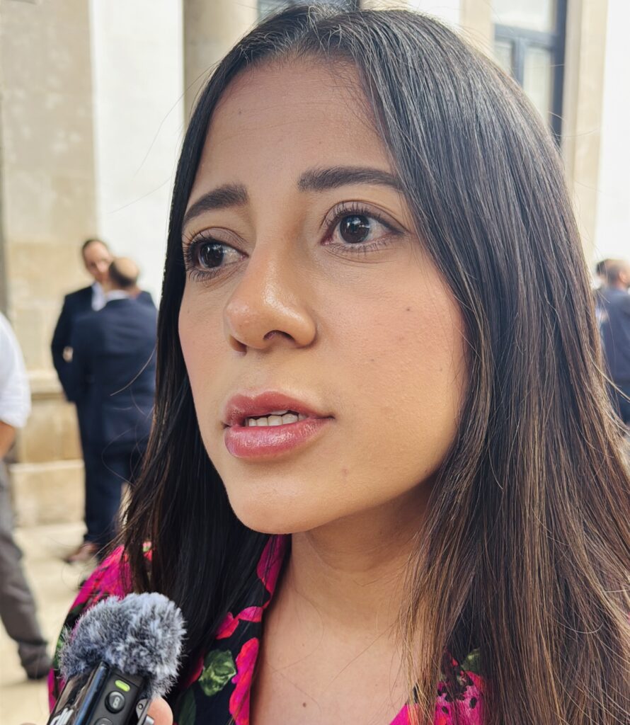 La informalidad en negocios limita el emprendimiento, afecta a más del 50% de empresarios: CEJ