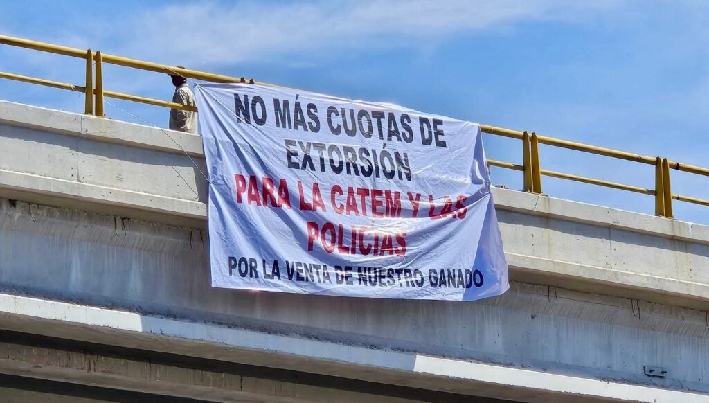 Senadora Margarita Valdez pide a García Harfuch intervenir en La Laguna