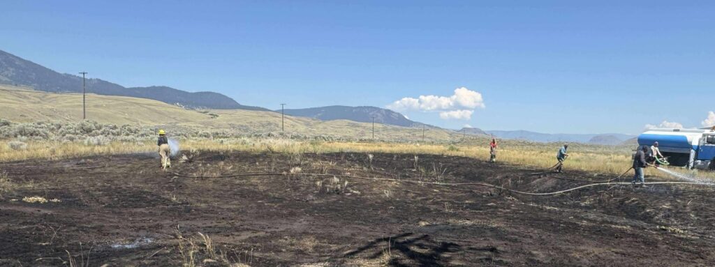 Pez que cayó del cielo provoca incendio forestal