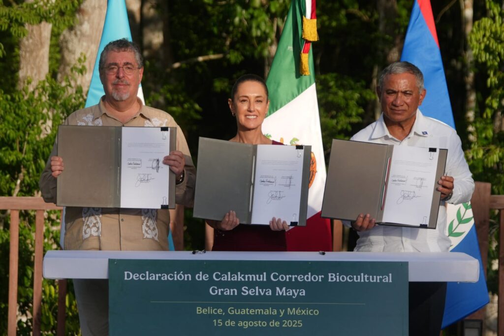 Sheinbaum anuncia Corredor Biocultural Gran Selva Maya