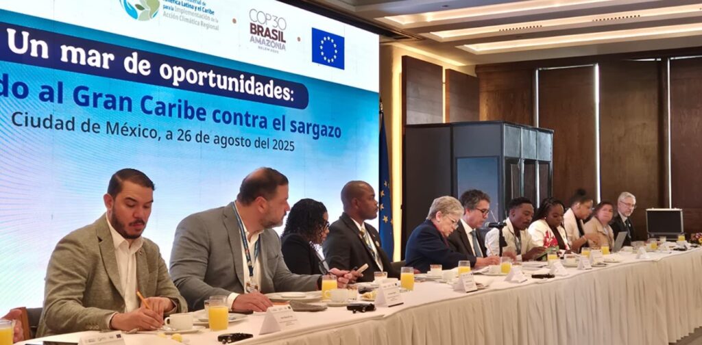 Impulsan en el Caribe plan para aprovechar sargazo