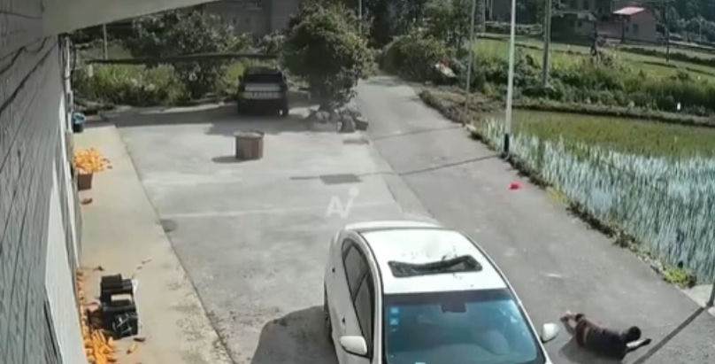 VIDEO: Trabajador resbala desde un cuarto piso y aterriza sobre un auto