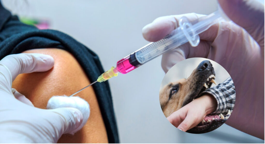 Ante reciente caso de rabia humana, protocolos de prevención continúan