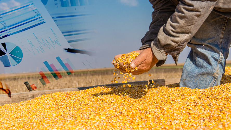 México alcanza cifras récord en importación de granos en primer semestre de 2025