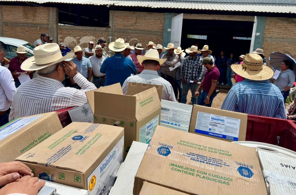 SAGDR intensifica combate al chapulín en Durango