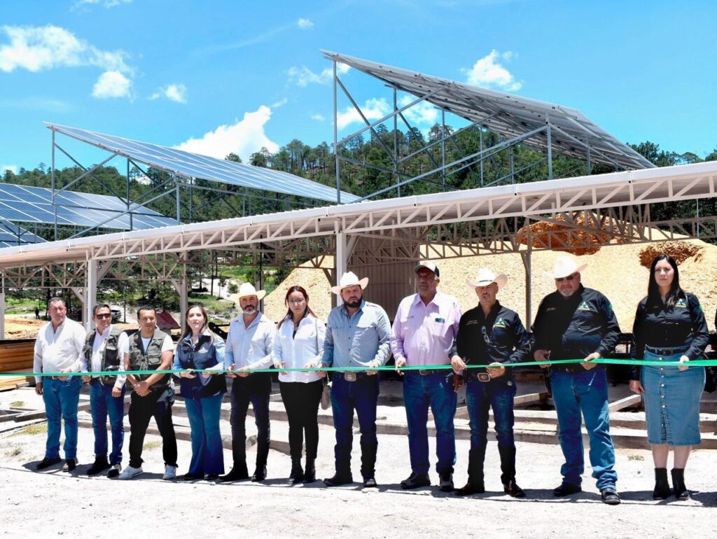 Inicia nueva era de energía limpia en Tepehuanes con sistema solar en aserraderos