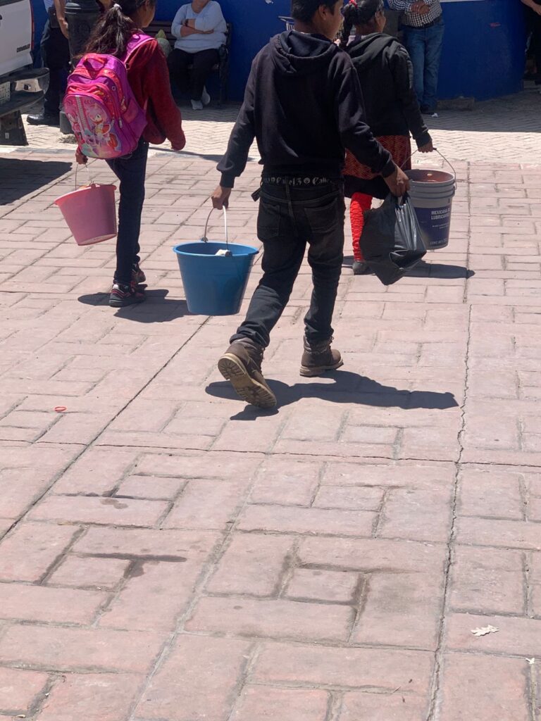 Venta de hongos sostiene economía familiar en Pueblo Nuevo