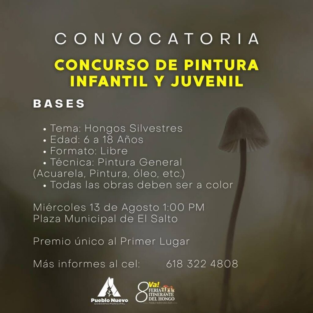 Abren convocatoria para concurso de fotografía de hongos silvestres