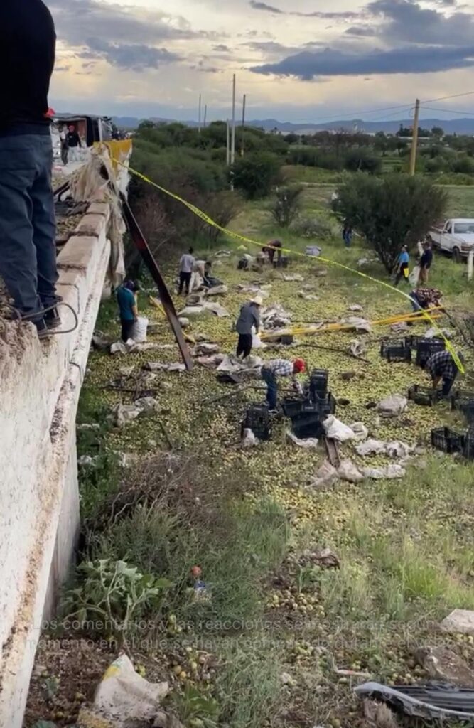Rapiña al volcar tráiler cargado de manzanas