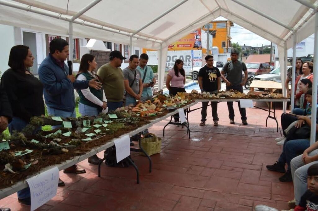 Conocimiento y sabor en la feria del hongo