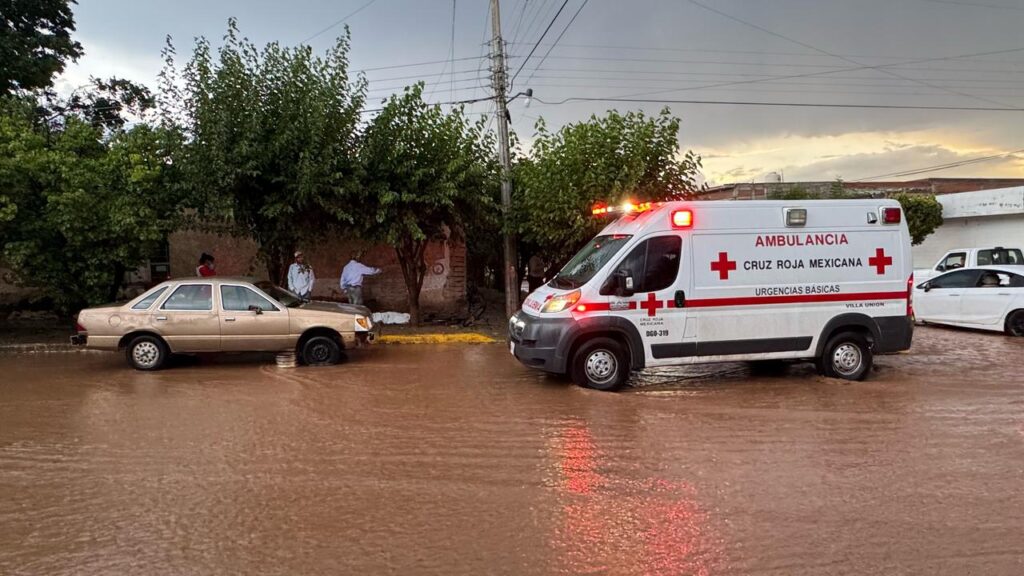 Durante la lluvia le cayeron cables de luz y se electrocutó