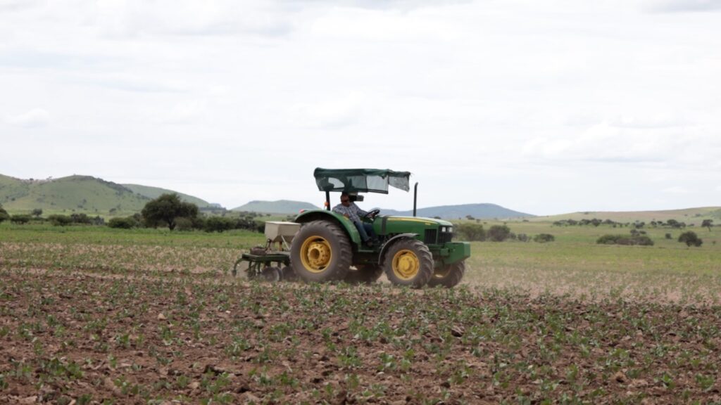 Precios bajos ponen en riesgo al campo mexicano: AMSDA