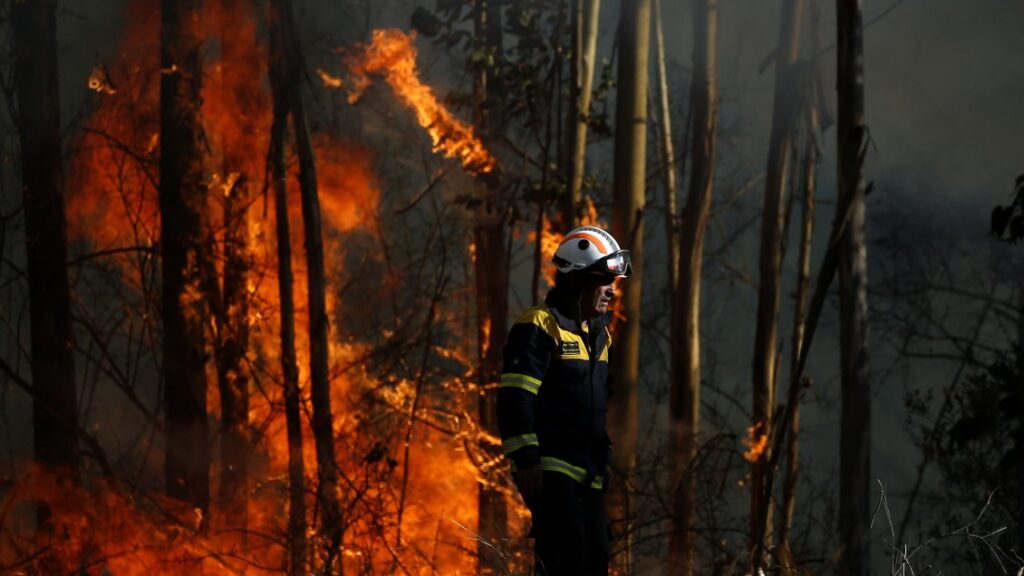 Investigadores desarrollan IA para predecir incendios forestales